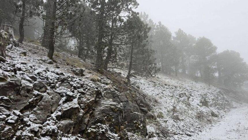 Nieve cubre zonas altas del municipio de Galeana, Nuevo León