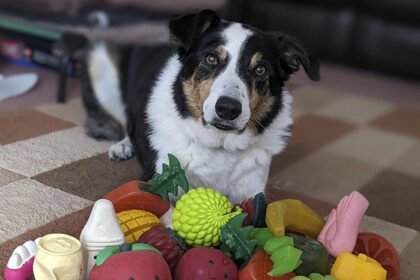 Perros en Madrid aprenden palabras escuchando conversaciones ajenas