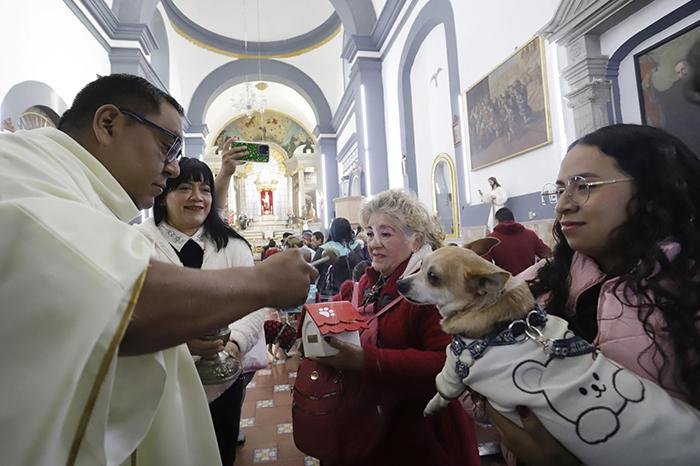 Puebla realiza bendición de mascotas por San Antonio Abad