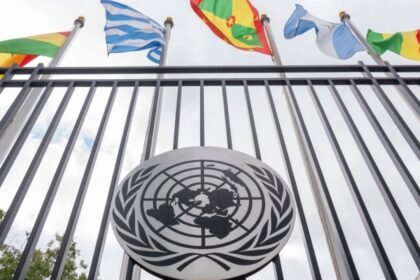 Relatora de la ONU denuncia inseguridad para defensores en Ciudad de México