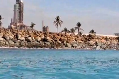 Vecinos denuncian mortandad de peces atribuida a Fertinal