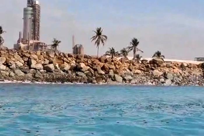 Vecinos denuncian mortandad de peces atribuida a Fertinal