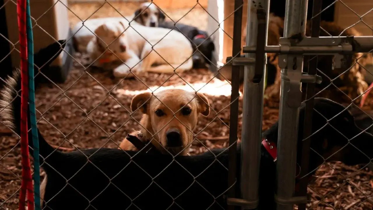 Vecinos protestan por desalojo del albergue Franciscano