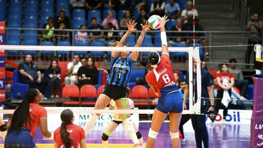 volei 2