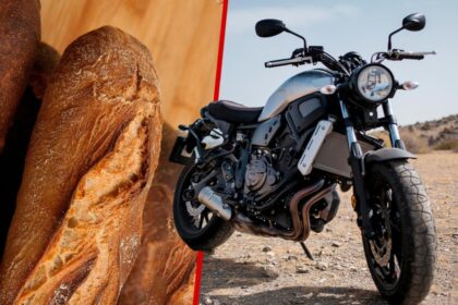 Estudio: adición de pan duro a gasolina disminuye emisiones sin dañar motor