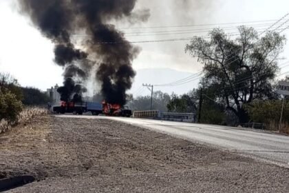 Jalisco: aseguradoras reportan 631 vehículos robados tras caída de 'El Mencho'