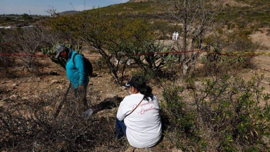 Organización exige al gobierno seguridad e información tras fosa en Sinaloa