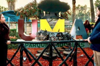 Persisten denuncias contra director del Zoológico de León, Guanajuato