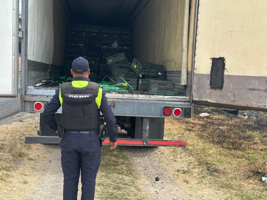 Policía Estatal recupera caja refrigerada y 1.5 toneladas de aguacate en Silao