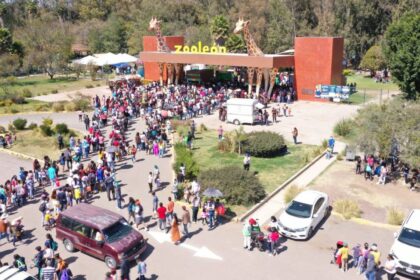 ¿Qué ciudad o estado quieres que incluya en el título?