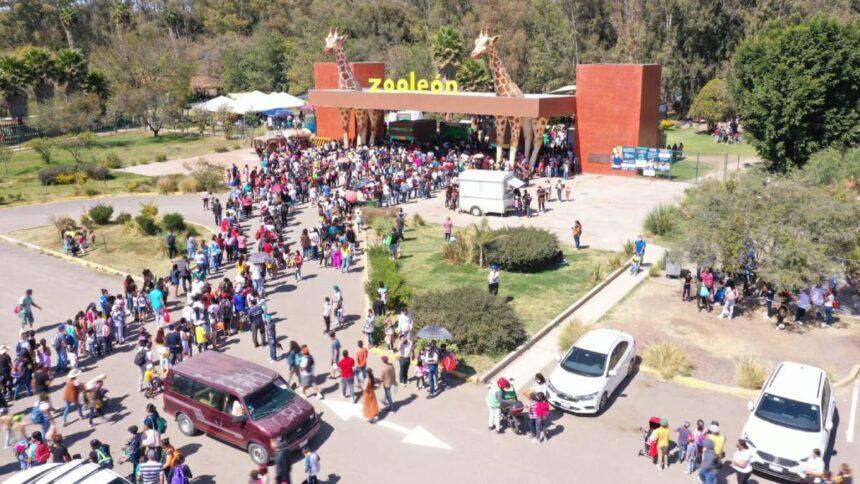 ¿Qué ciudad o estado quieres que incluya en el título?