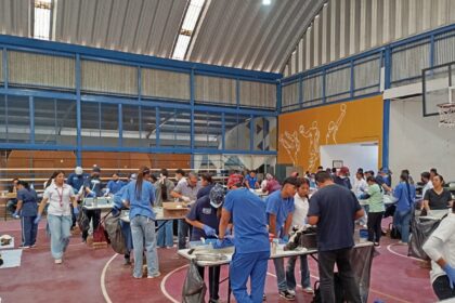 SSG realizó 264 esterilizaciones de perros y gatos en Salvatierra, Guanajuato.