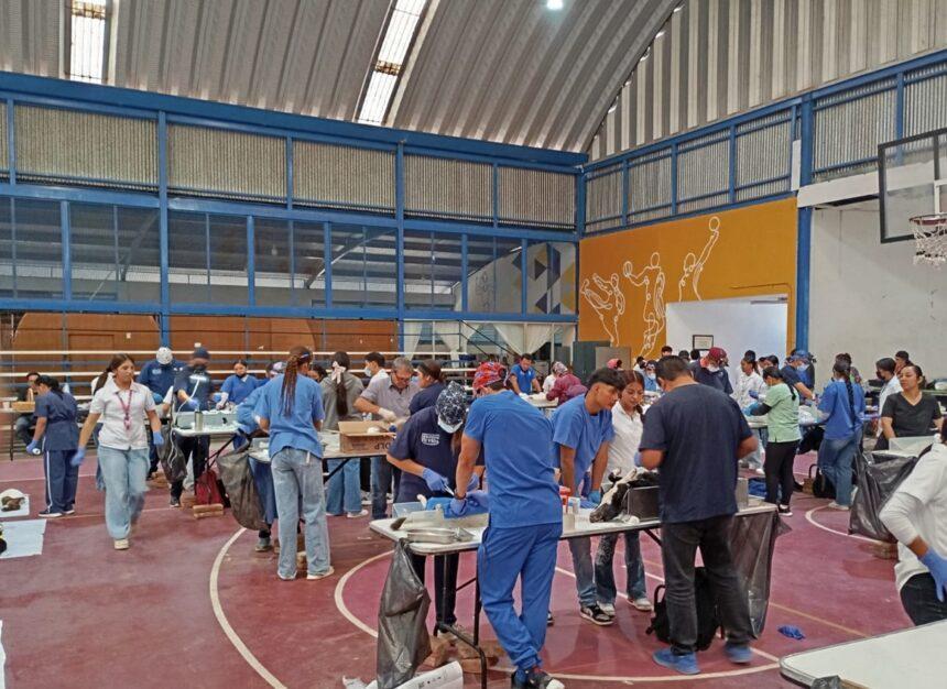 SSG realizó 264 esterilizaciones de perros y gatos en Salvatierra, Guanajuato.