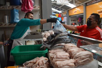 SSG supervisa expendios pesqueros en municipios para garantizar higiene y calidad