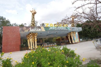 Suspenden nombramiento de director del Zoológico en León, Guanajuato