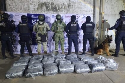 Unidad K9 asegura más de 126 mil dosis de drogas en Irapuato