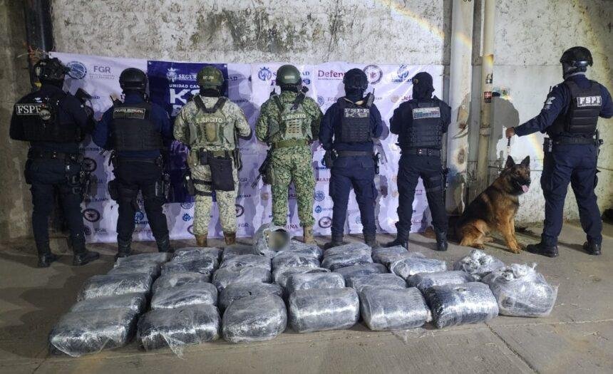 Unidad K9 asegura más de 126 mil dosis de drogas en Irapuato
