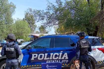 Unidad K9 asegura vapeadores con marihuana en León