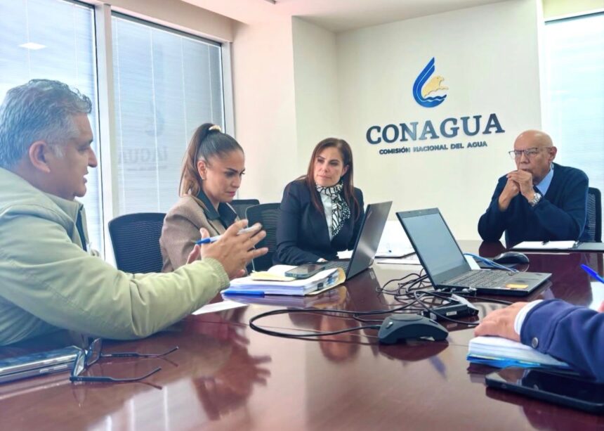 whatsapp image 2026 02 06 at 084357