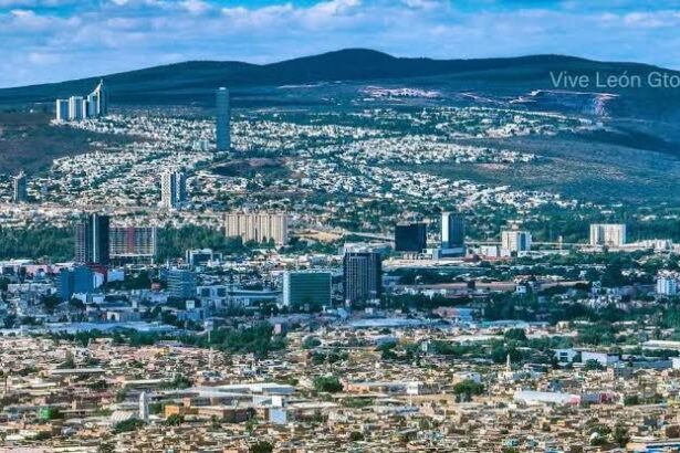 13ebe9ce 8de5 445b af78 a286889c426e