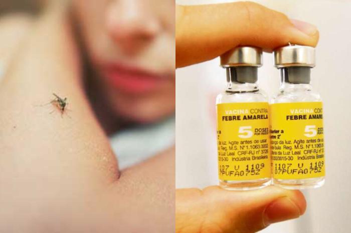 Autoridades locales actualizan requisitos de vacunación para viajeros