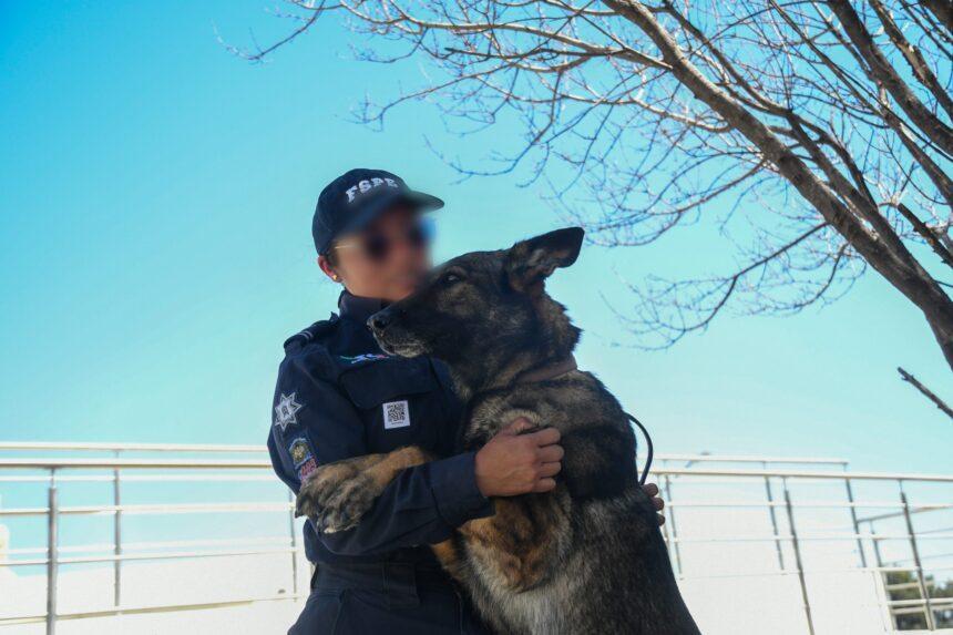 Dependencias estatales de Guanajuato reafirman compromiso con la seguridad