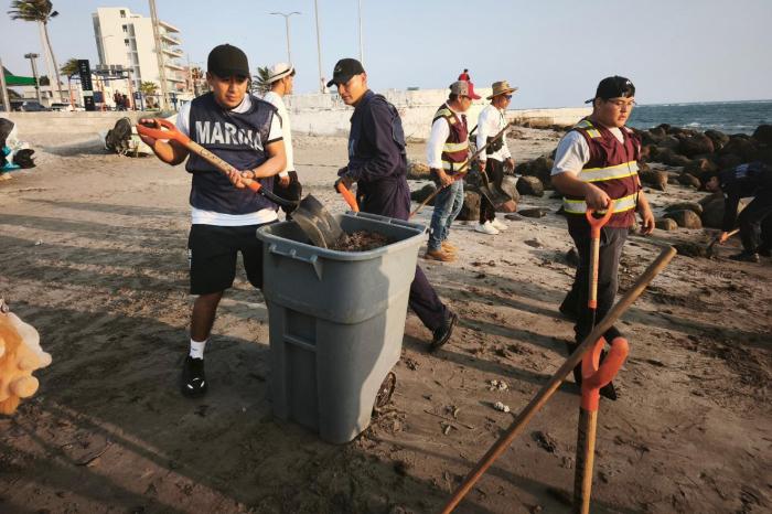 Detectan hidrocarburo en costas de Veracruz y Tabasco; autoridades investigan