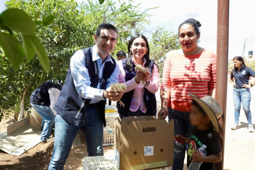 DIF Estatal impulsa economía familiar en Dolores Hidalgo, Guanajuato