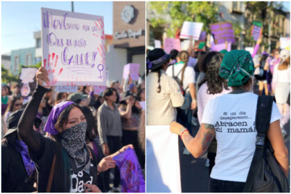 Guía cultural mensual: recomendaciones de cine, lectura y música