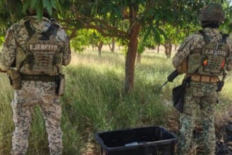 Hallan 12 artefactos explosivos ocultos entre la maleza en Culiacán