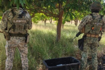 Hallan 12 artefactos explosivos ocultos entre la maleza en Culiacán