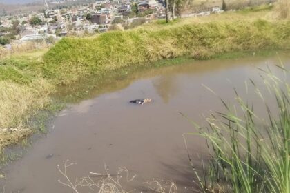 Hallan cadáver maniatado y golpeado en estanque de Jacona, Michoacán