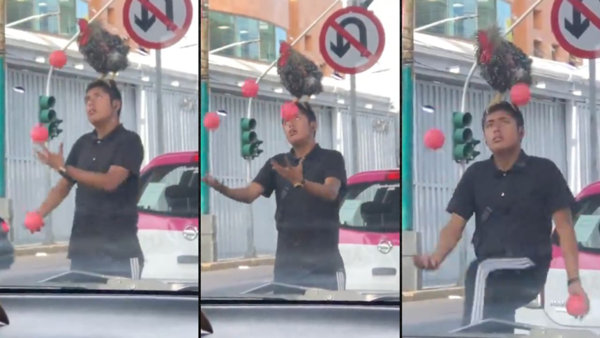 Hombre hace malabares con gallo en la cabeza y se vuelve viral