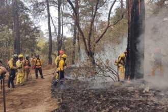 Incendio forestal en San José del Rincón, Zinapécuaro, afecta 76 hectáreas