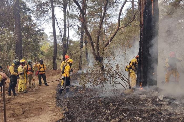 Incendio forestal en San José del Rincón, Zinapécuaro, afecta 76 hectáreas