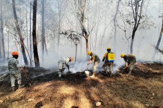 Incendio forestal en Tzitzio, Michoacán afecta 268 hectáreas; Ejército activa DN-III-E