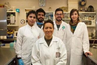 Investigadora de Ciudad de México elimina el VPH con terapia fotodinámica