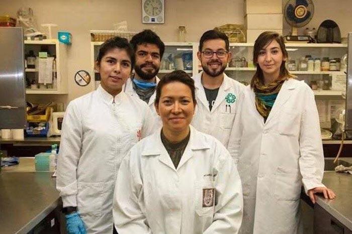 Investigadora de Ciudad de México elimina el VPH con terapia fotodinámica