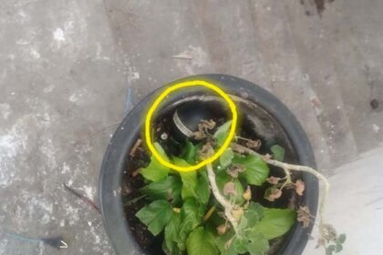 Localizan granada de gas en fraccionamiento Hacienda del Sol, Tarímbaro, Michoacán