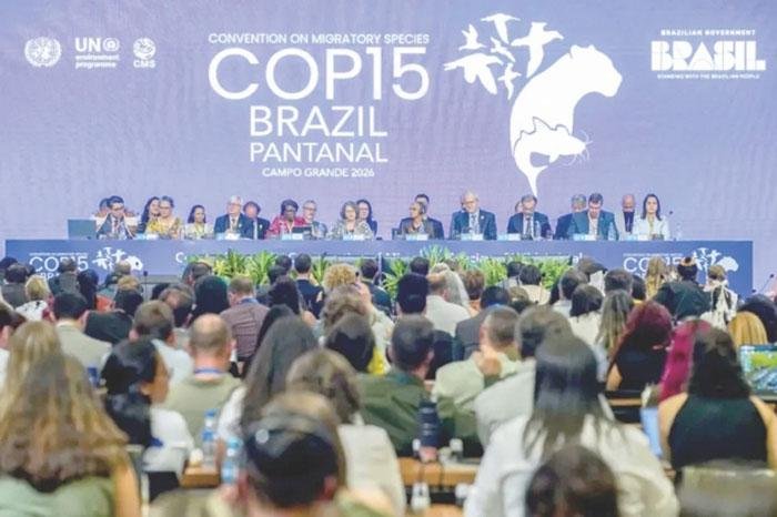 ONU declara 40 especies protegidas y 16 planes de acción; repercusiones locales