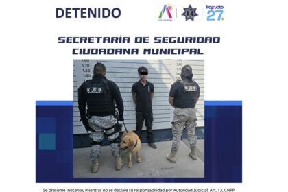 perrito