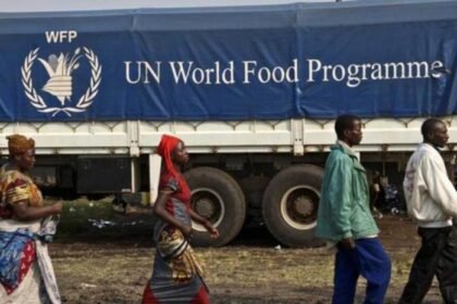 Programa Mundial de Alimentos implementa medidas preventivas contra sequías en Centroamérica