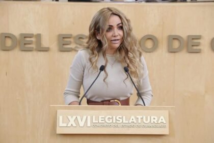 whatsapp image 2026 03 24 at 134855