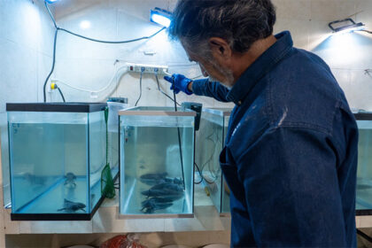 Zoológico de Morelia investiga estado de salud del ajolote