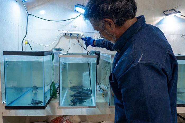 Zoológico de Morelia investiga estado de salud del ajolote