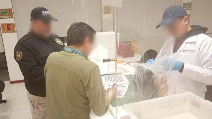 Alejandro Macías advierte sobre terapias intravenosas tras cuatro muertes en Sonora