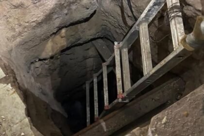 Autoridades detectan túnel transfronterizo de crimen organizado en Sonora