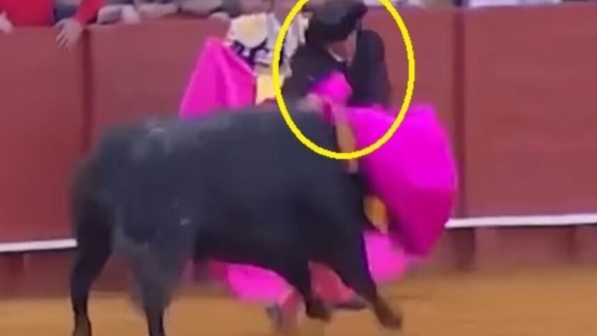 Banderillero enfrenta al toro y sufre un inesperado accidente en el ruedo