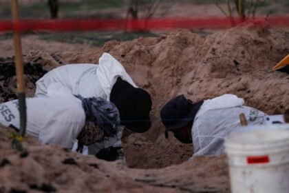 Ciudad de México registra aumento de personas desaparecidas desde 2024