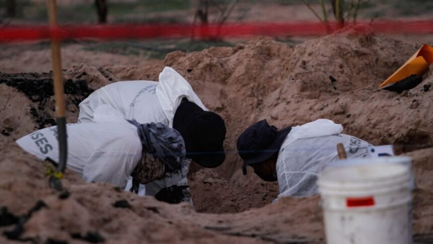 Ciudad de México registra aumento de personas desaparecidas desde 2024